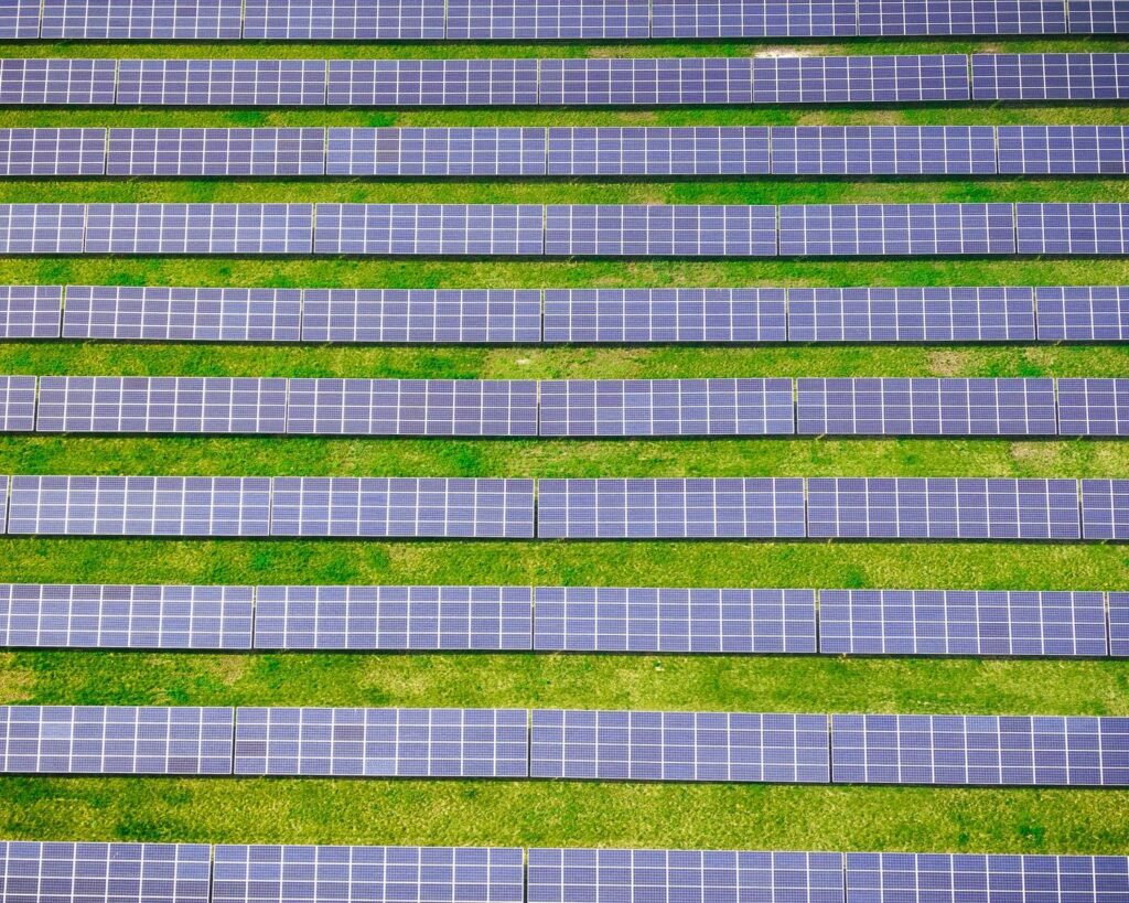 green and white striped textile