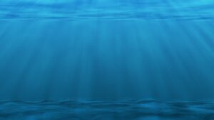 underwater, sea ocean, plankton